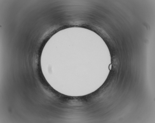 X0000113110544200910091201