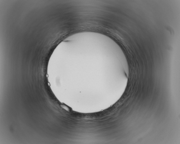 X0000113110546200910091201