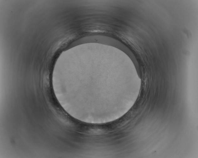 X0000113110547200910091201