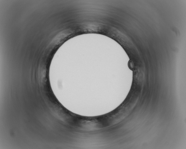 X0000113110548200910091201