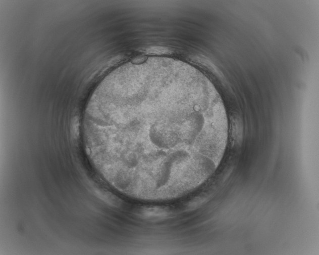 X0000113110549200910091201