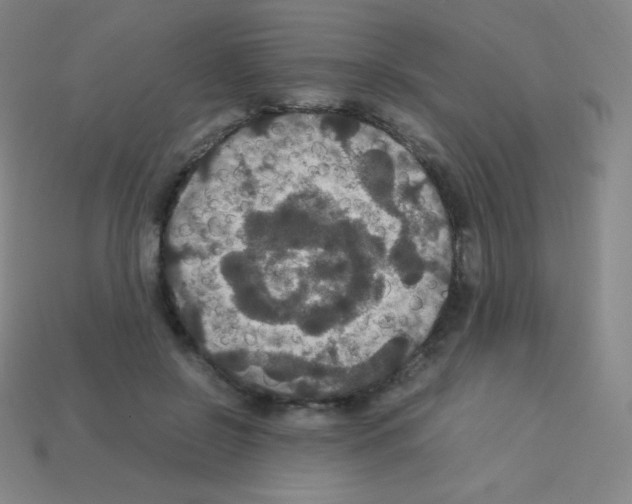 X0000113110550200910091201