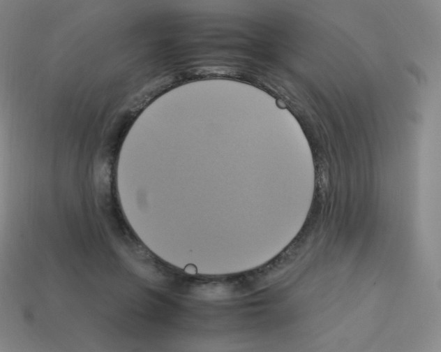 X0000113110551200910091201