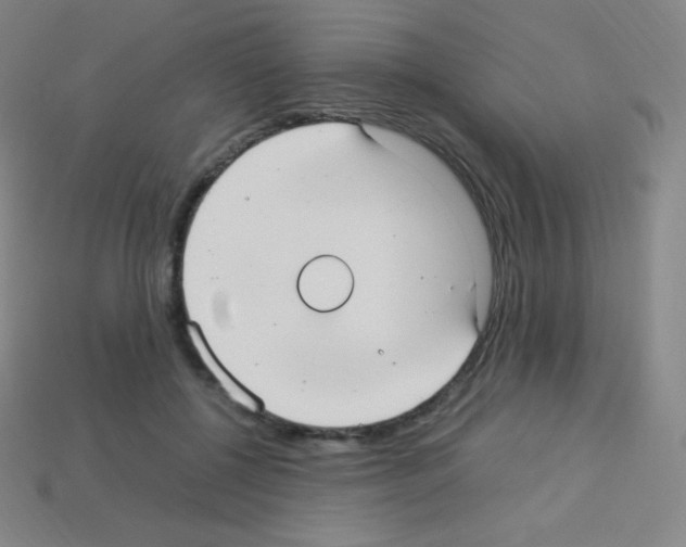 X0000113110552200910091201