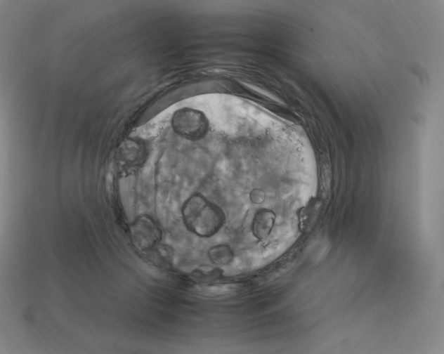 X0000113110553200910091201