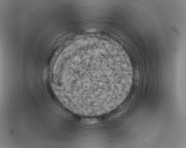 X0000113110554200910091202
