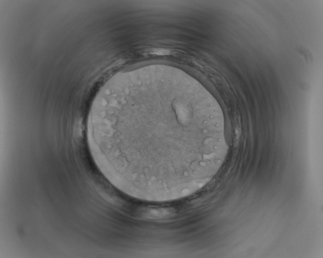 X0000113110555200910091202
