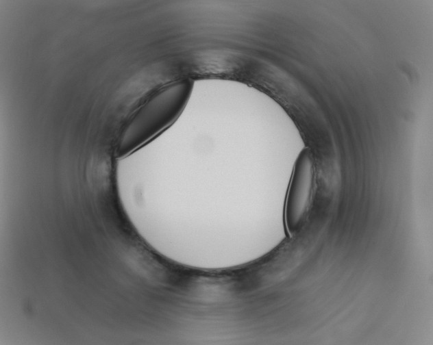X0000113110556200910091202