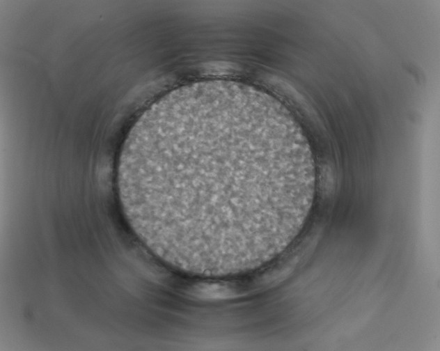 X0000113110557200910091202