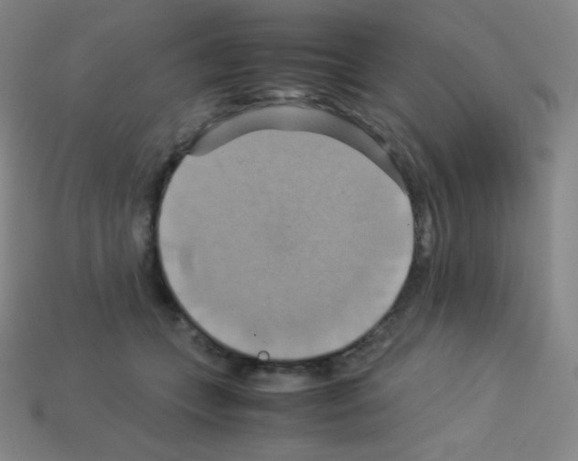 X0000113110559200910091202