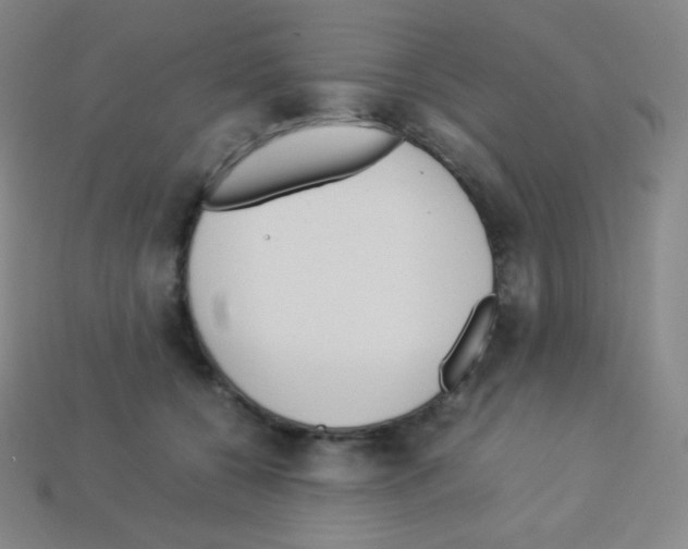 X0000113110560200910091202