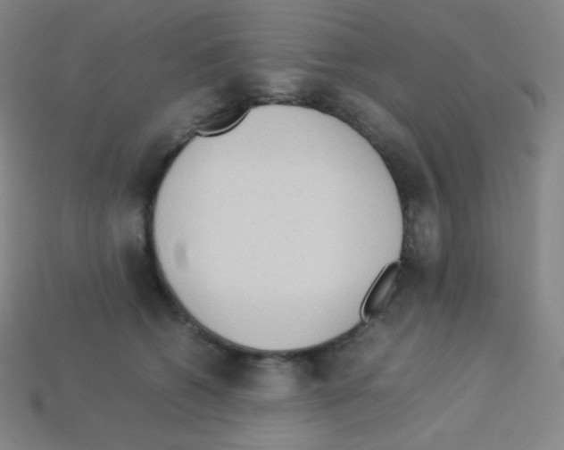 X0000113110562200910091202