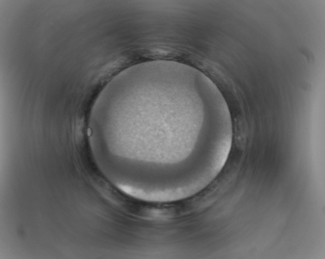 X0000113110563200910091202