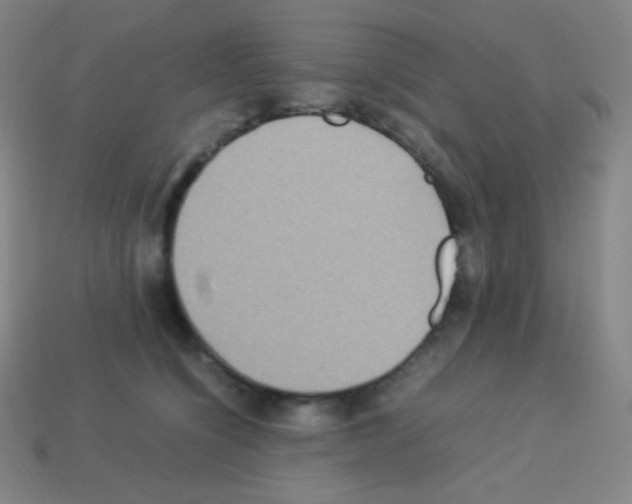 X0000113110564200910091202