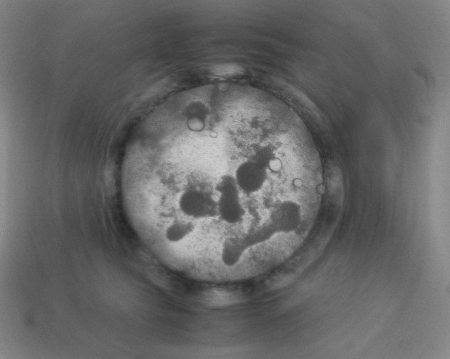X0000113110565200910091202