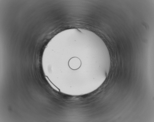 X0000113110566200910091202