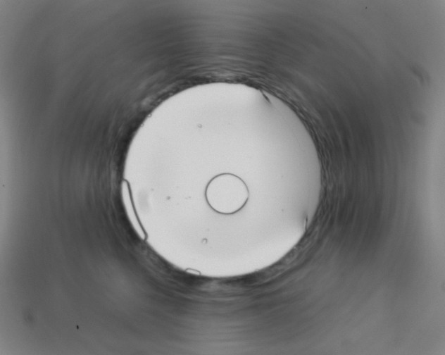 X0000113110568200910091202