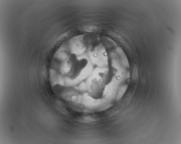 X0000113110569200910091202