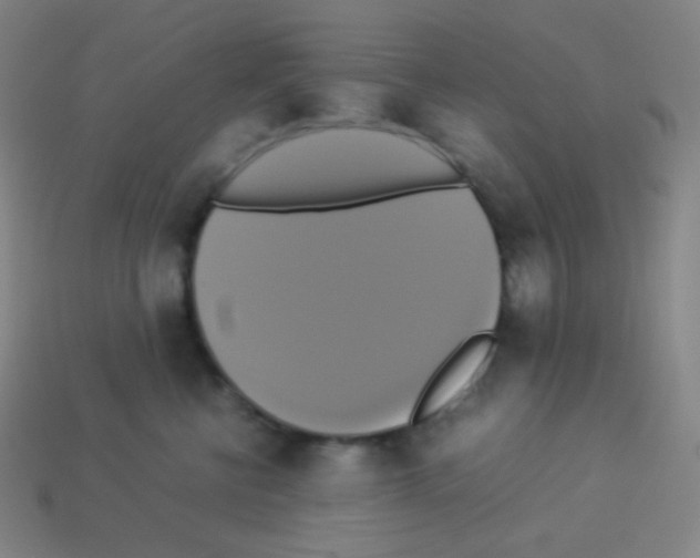 X0000113110570200910091202