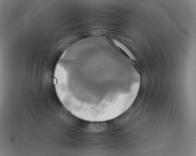 X0000113110571200910091202
