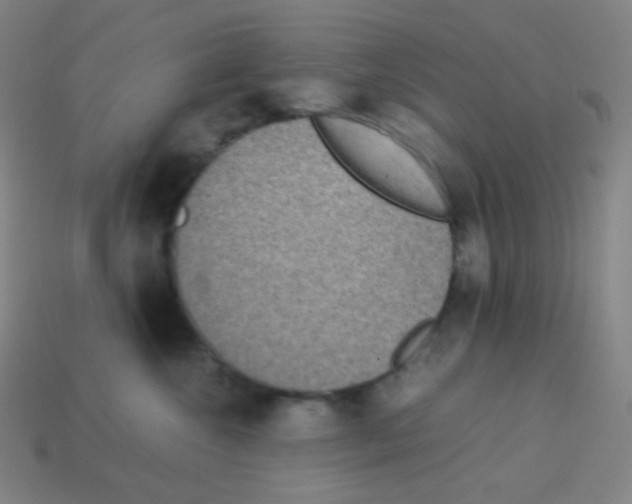 X0000113110572200910091202