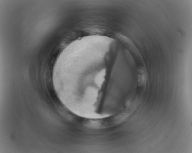 X0000113110573200910091202