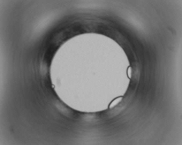 X0000113110574200910091202