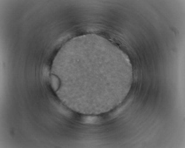 X0000113110575200910091202