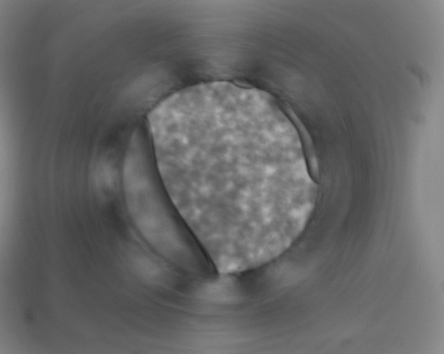 X0000113110576200910091202