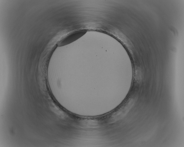 X0000113110577200910091201