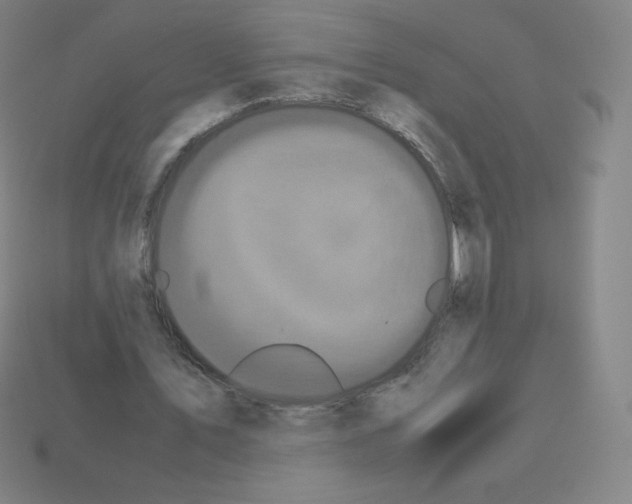 X0000113110579200910091201