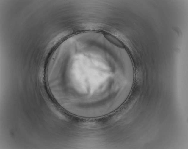 X0000113110581200910091201