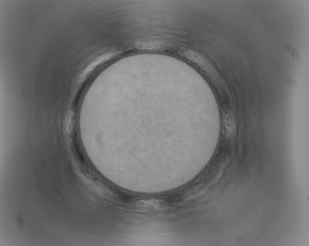 X0000113110583200910091201