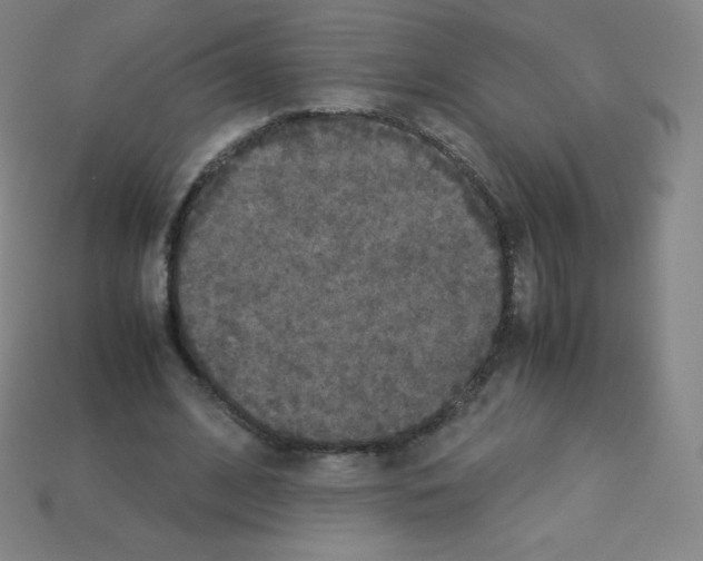 X0000113110584200910091201