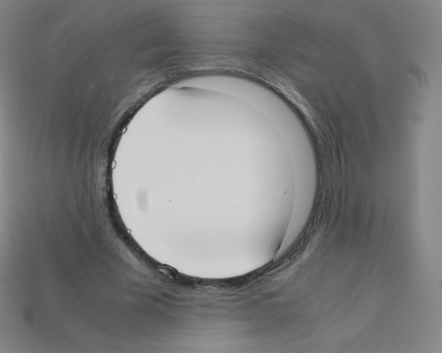 X0000113110585200910091201