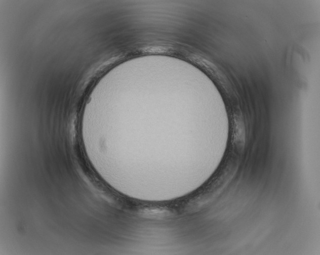 X0000113110586200910091201