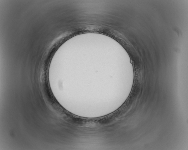 X0000113110587200910091201