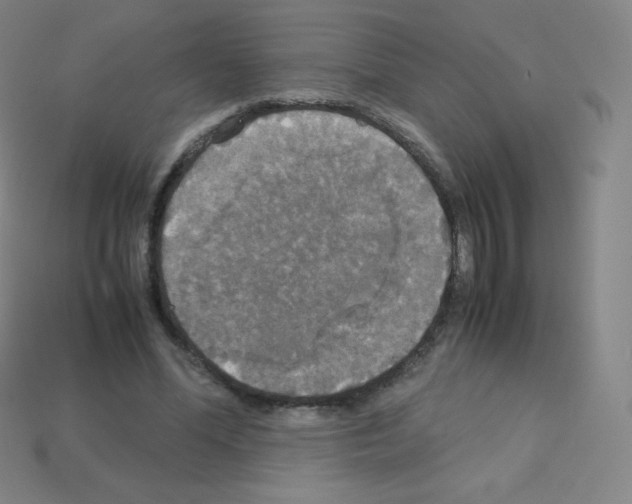 X0000113110588200910091201