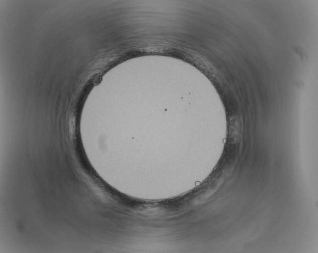 X0000113110589200910091201