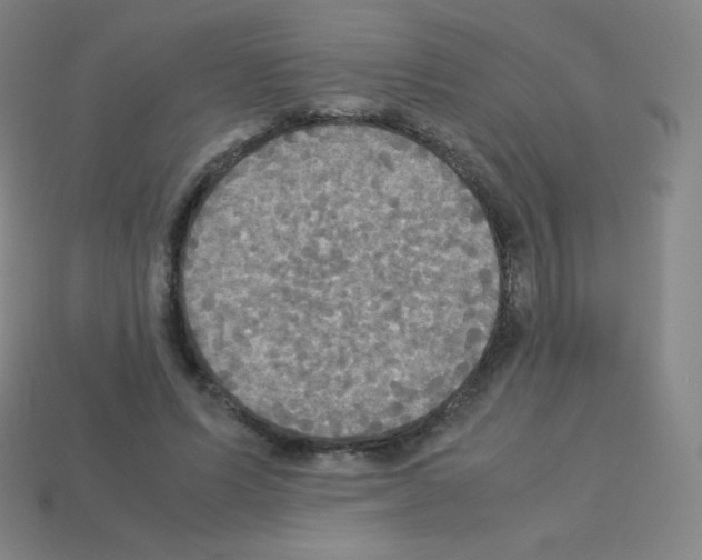 X0000113110591200910091201