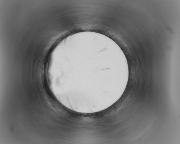 X0000113110592200910091201