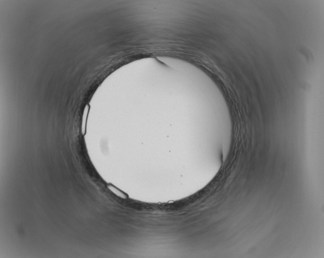 X0000113110593200910091201