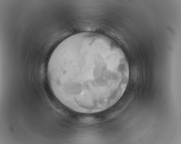 X0000113110594200910091201