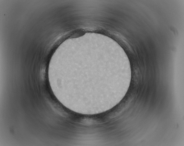 X0000113110596200910091201