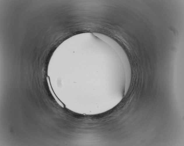 X0000113110597200910091201