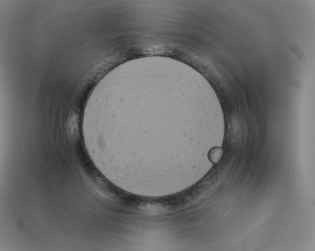 X0000113110598200910091201