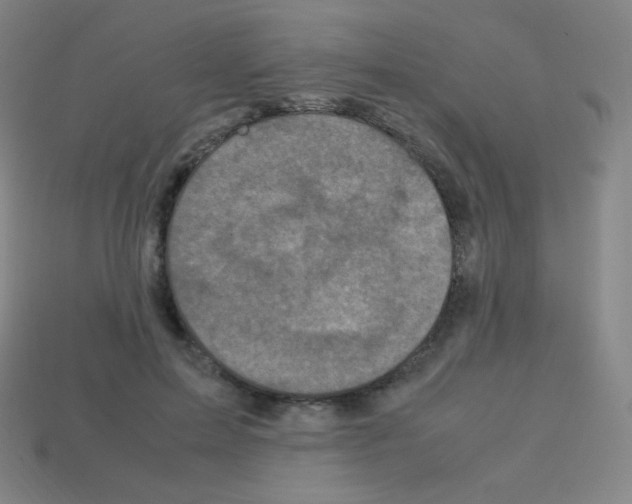 X0000113110599200910091201