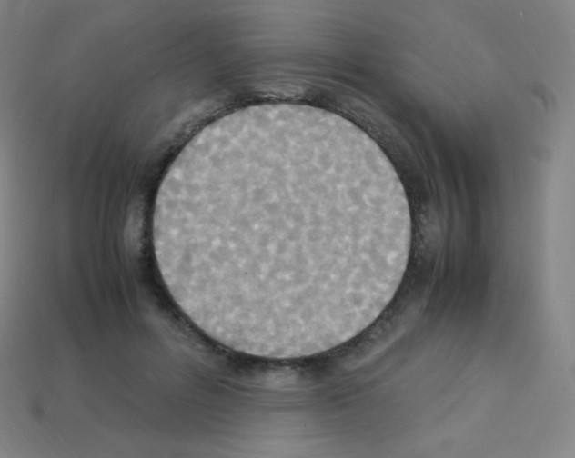 X0000113110600200910091201