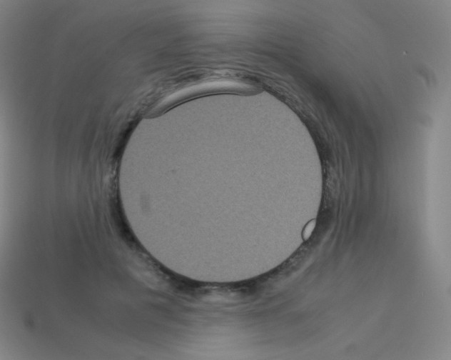 X0000113110601200910091201