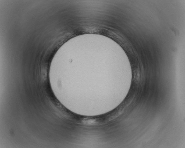 X0000113110602200910091201